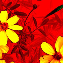 不限设备安装的ddos网页端源码